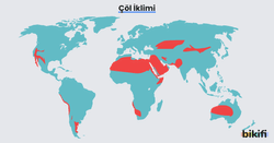 Çöl ikliminin dünya haritası üzerindeki dağılımı