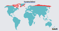 Tundra ikliminin dünya haritası üzerindeki dağılımı