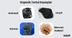 organik tortul kayaçların sınıflandırılması