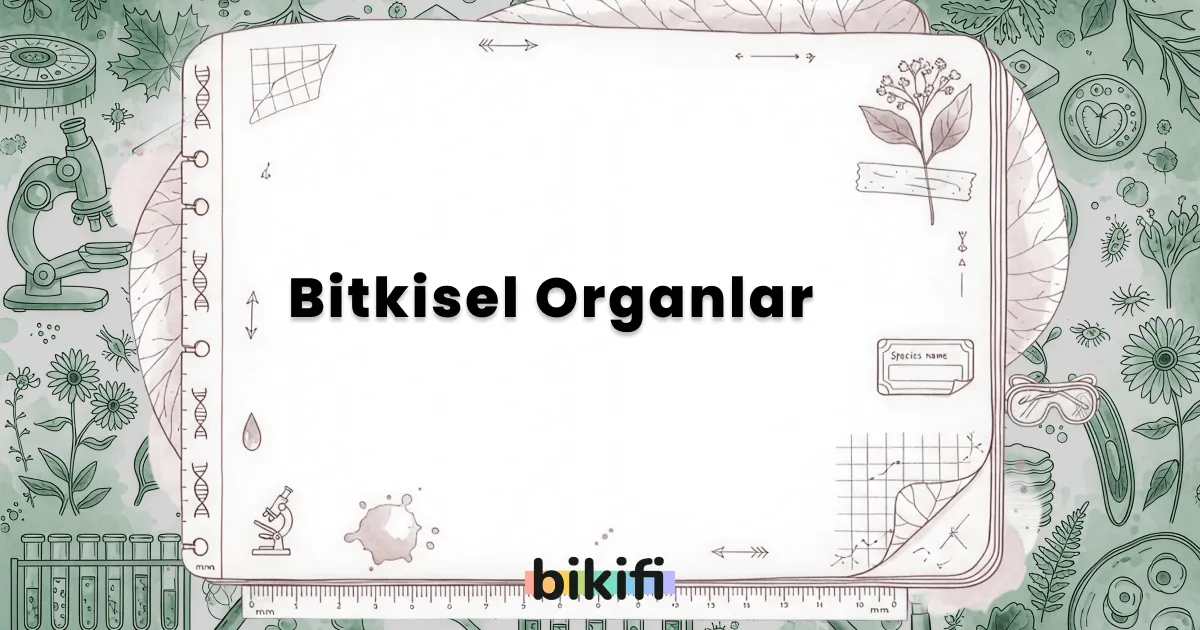 Bitkisel Organlar