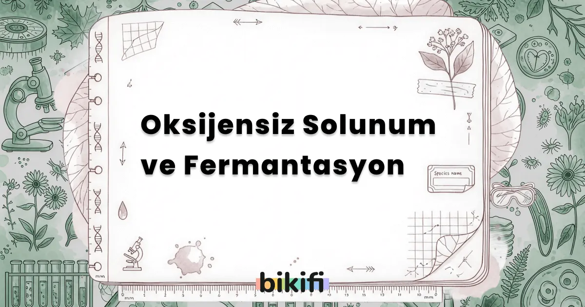 Oksijensiz Solunum ve Fermantasyon