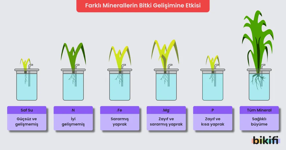 Mikro Elementler