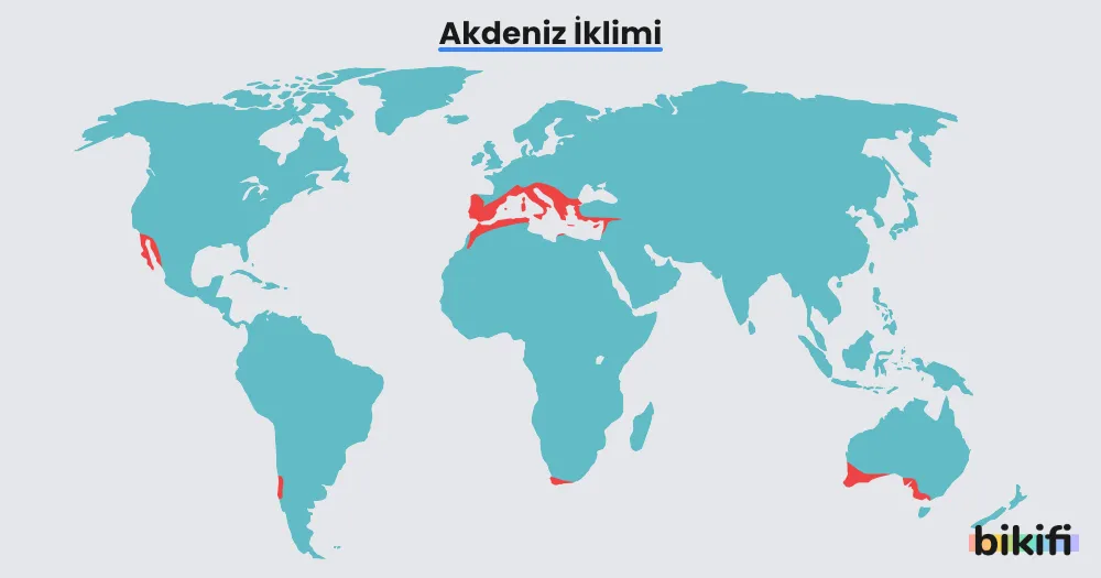 Akdeniz ikliminin dünya haritası üzerindeki dağılımı