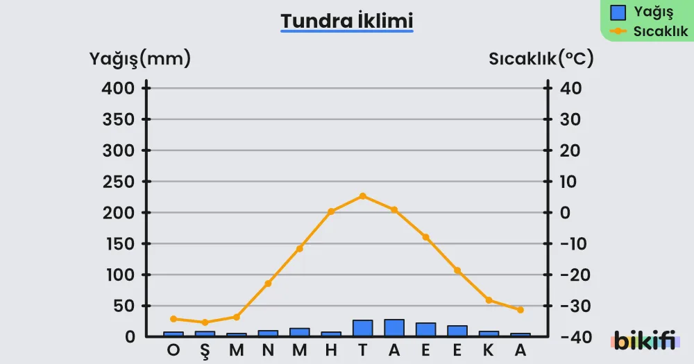 Tundra ikliminin yağış ve sıcaklık grafiği