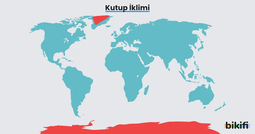 Kutup Biyomu