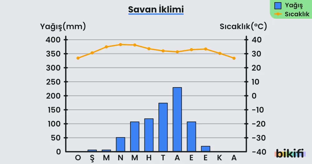 Savan ikliminin yağış ve sıcaklık grafiği