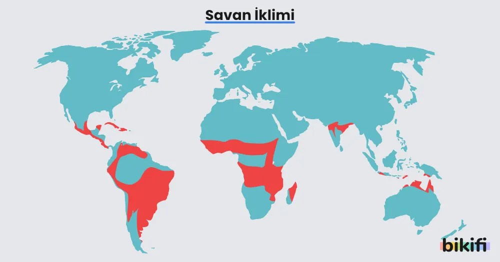 Savan ikliminin dünya haritası üzerindeki dağılımı