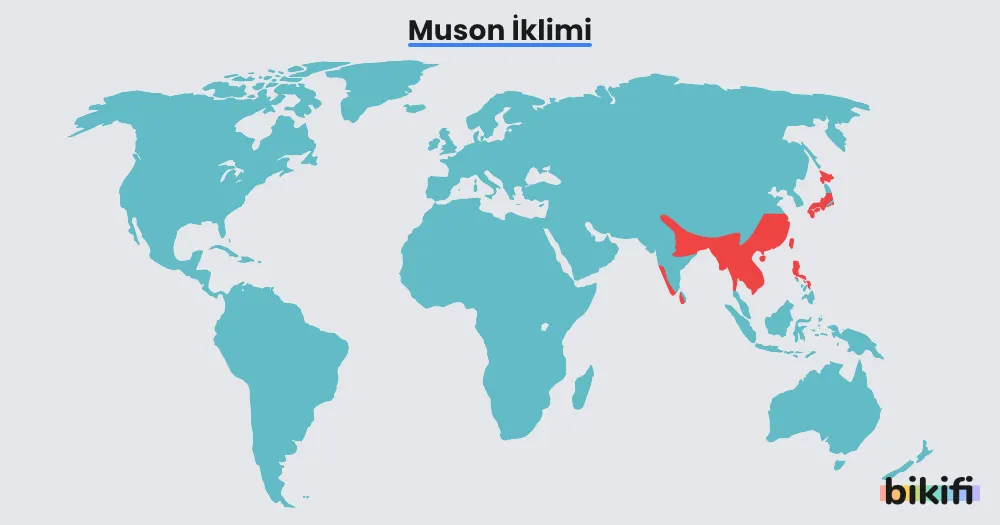 muson ikliminin dünya üzerinde görüldüğü alanlar