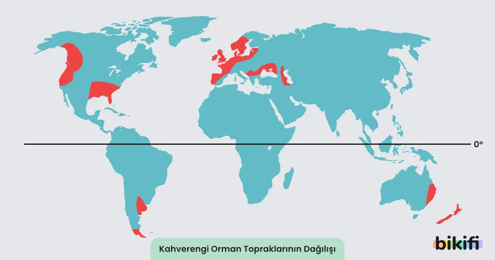 Kahverengi Orman topraklarının dünya üzerindeki dağılımı