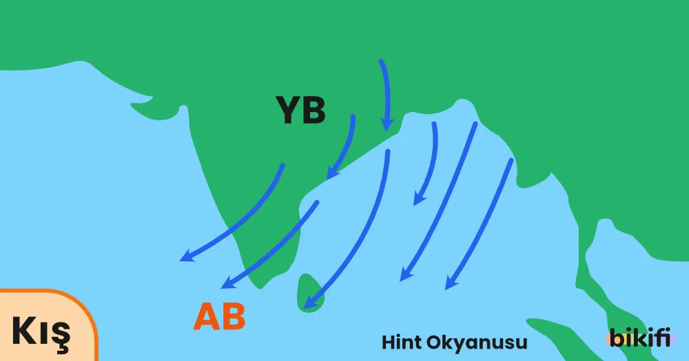 Kış Musonları