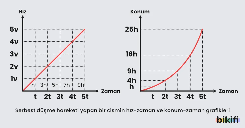 Serbest düşme hareketi yapan bir cismin hız-zaman ve konum-zaman grafikleri
