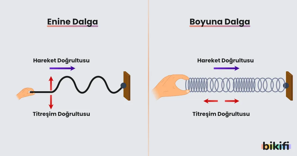 enine dalga ve boyuna dalga