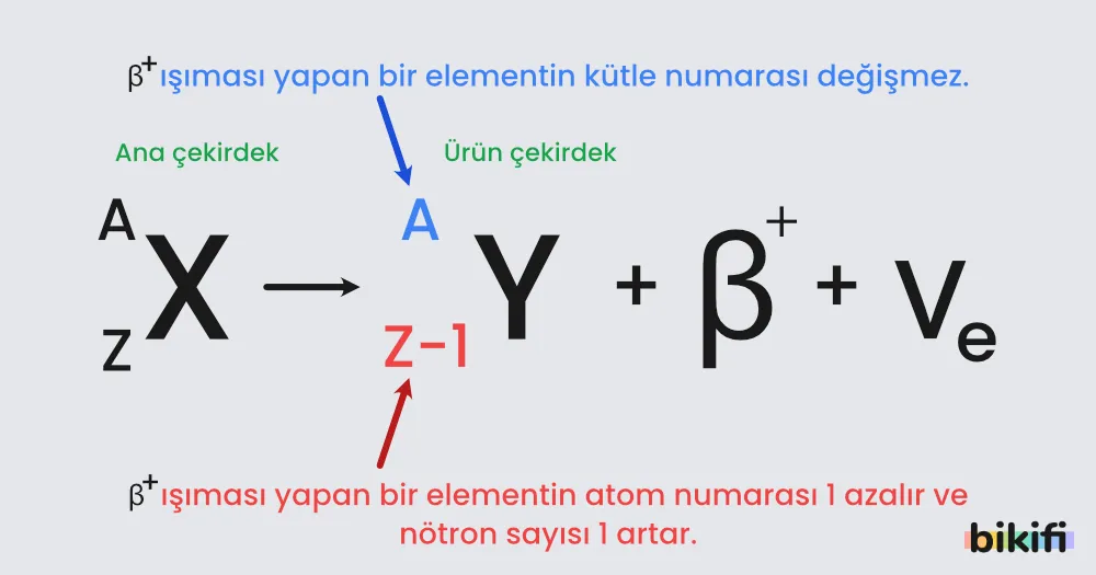 Beta + Bozunumu formülü