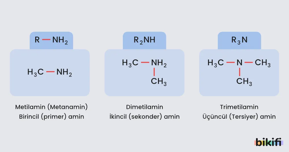 Aminlerin yaygın adlandırılması