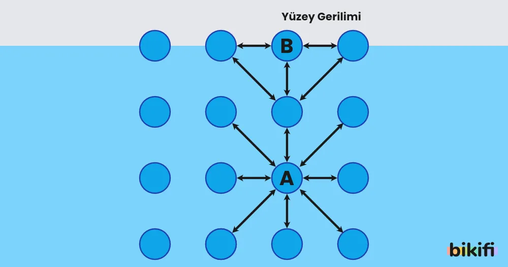 Yüzey Gerilimi