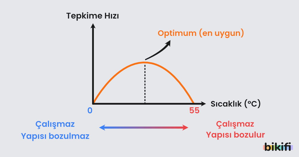 Tepkime hızının sıcaklığa göre değişimi