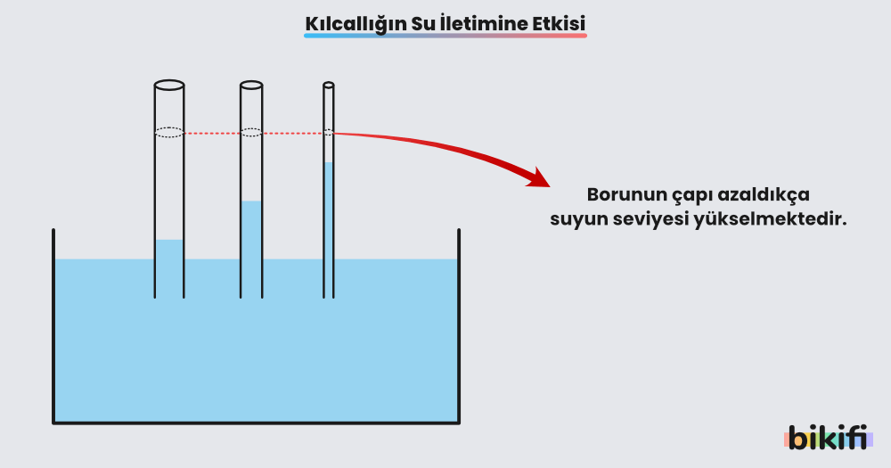 Kılcallığın su iletimine etkisi. Boru çapı ile kılcallık arasındaki ilişki