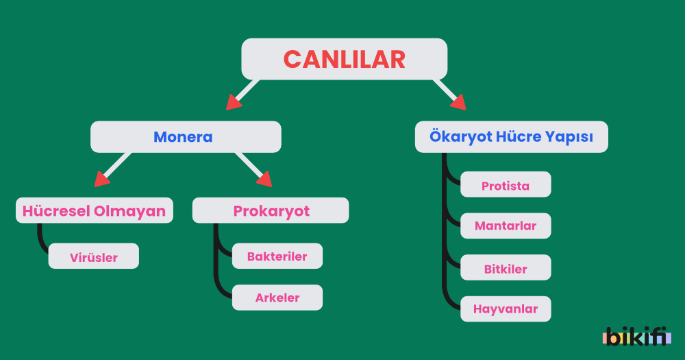 Canlıların sınıflandırılması