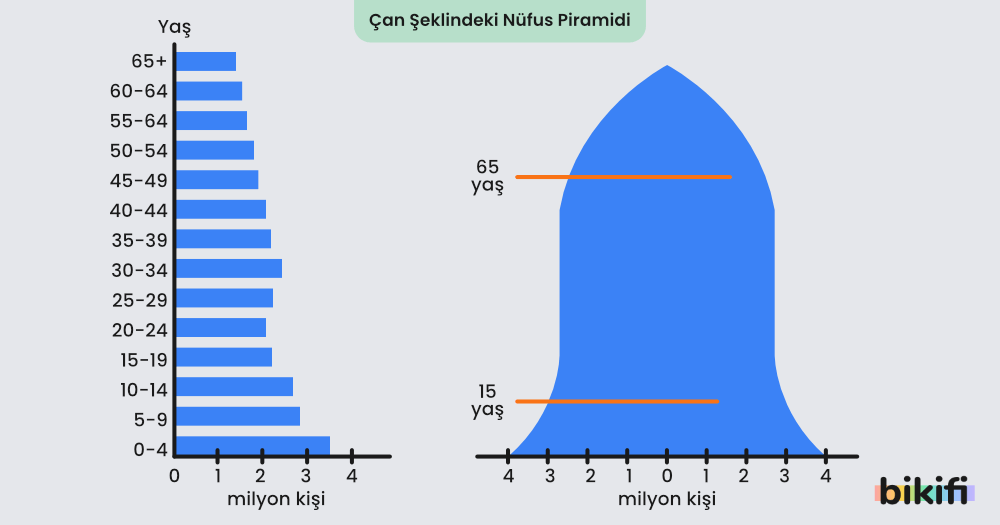 N fus Piramitleri Bikifi n-fus-piramitleri-bikifi