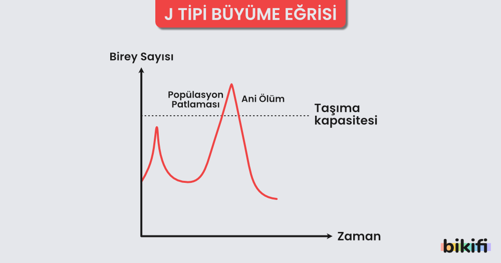 J Tipi Büyüme Eğrisi