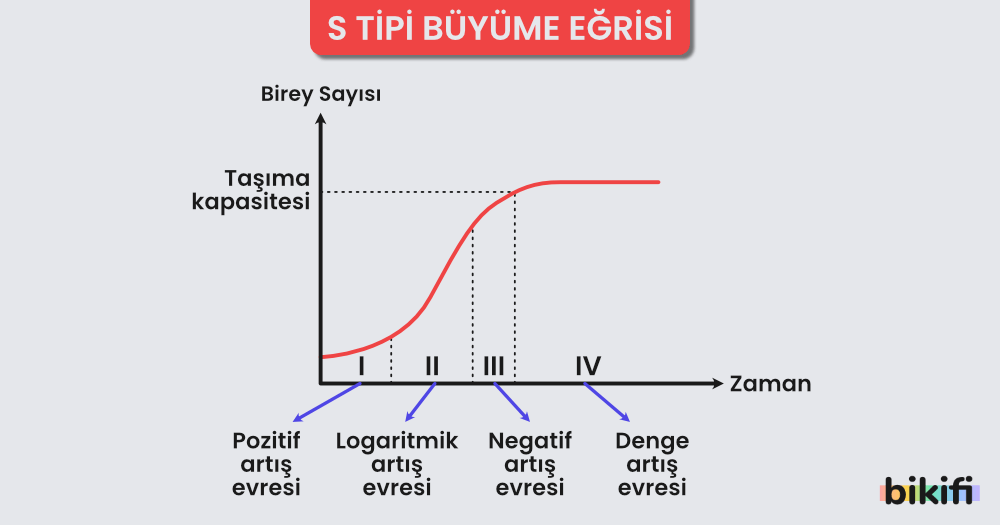 s tipi büyüme eğrisi