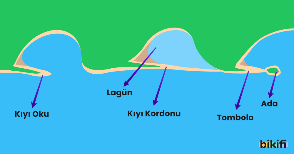 Dalga ve Akıntıların Oluşturduğu Biriktirme Şekilleri: Kıyı Oku