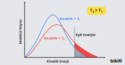 sıcaklığın tepkime hızına etkisi