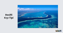 Resifli Kıyılar
