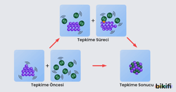Tepkime Sürecinin Modellenmesi