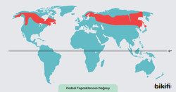 Podzol topraklarının dünya üzerindeki dağılımı