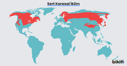 Sert karasal ikliminin dünya üzerinde görüldüğü alanlar