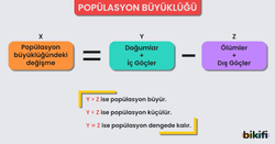Popülasyon Büyüklüğü ve bu büyüklüğün hesaplanması
