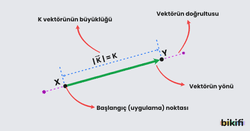 vektör yönü, doğrultusu, büyüklüğü