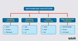Türkiye'deki hayvancılık faaliyetlerinin sınıflandırılması