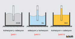 Adezyon-Kohezyon karşılaştırması