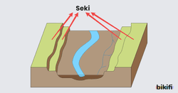Seki (Taraça)