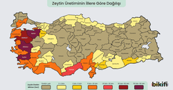 Türkiye'de zeytin yetiştirilen yerler