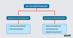 Su ekosistemlerinin sınıflandırılması