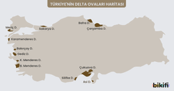 Türkiyede bulunan delta ovalarının haritası