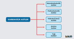 Karboksilik asitlerin sınıflandırılması