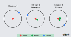 proton nötron ve elektronun hidrojen ve hidrojen izotopları döteryum ve trityumdaki karşılaştımalı durumları