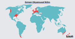 Ilıman okyanusal iklimin dünya üzerinde görüldüğü alanlar