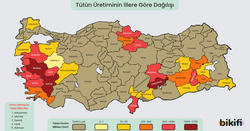 Türkiye Tütün Üretimi Haritası