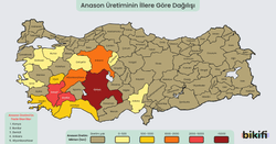 Türkiye'de anason üretiminin illere göre dağılışı