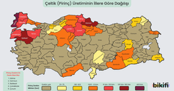 Türkiye Pirinç Üretimi Haritası
