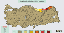 Türkiye'de çay yetiştirilen yerler