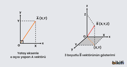 Vektörlerin Dik Koordinat Sisteminde İki ve Üç Boyutlu Olarak Çizilmesi