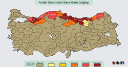 Türkiye'de fındık yetiştirilen yerler