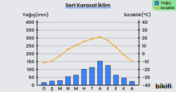 Sert karasal iklimin yağış ve sıcaklık grafiği