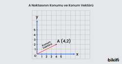 Konum vektörü örneği